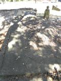 image of grave number 370182